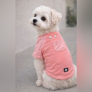 Silver Paws space dye pink Pet Jersey